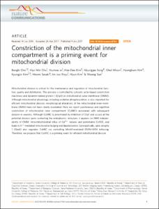 Constriction of the mitochondrial inner compartment is a priming event for mitochondrial division