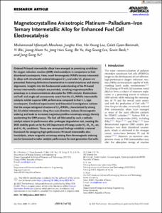 Magnetocrystalline Anisotropic Platinum-Palladium-Iron Ternary Intermetallic Alloy for Enhanced Fuel Cell Electrocatalysis