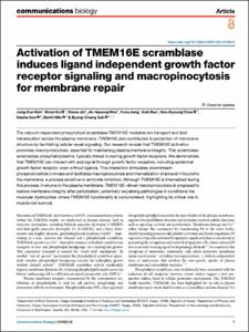 Activation of TMEM16E scramblase induces ligand independent growth factor receptor signaling and macropinocytosis for membrane repair
