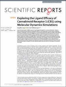 Exploring the Ligand Efficacy of Cannabinoid Receptor 1 (CB1) using Molecular Dynamics Simulations