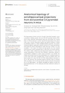 Anatomical topology of extrahippocampal projections from dorsoventral CA pyramidal neurons in mice