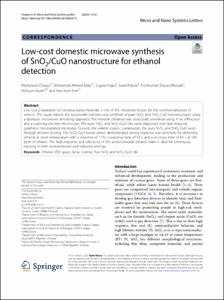 Low-cost domestic microwave synthesis of SnO2/CuO nanostructure for ethanol detection