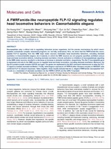 A FMRFamide-like neuropeptide FLP-12 signaling regulates head locomotive behaviors in Caenorhabditis elegans