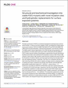 Structural and biochemical investigation into stable FGF2 mutants with novel mutation sites and hydrophobic replacements for surface-exposed cysteines