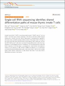 Single-cell RNA sequencing identifies shared differentiation paths of mouse thymic innate T cells
