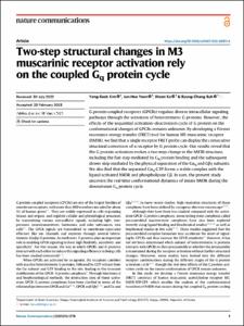 Two-step structural changes in M3 muscarinic receptor activation rely on the coupled Gq protein cycle