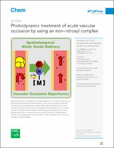 Photodynamic treatment of acute vascular occlusion by using an iron–nitrosyl complex