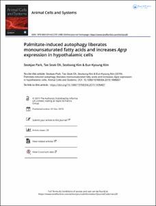 Palmitate-induced autophagy liberates monounsaturated fatty acids and increases Agrp expression in hypothalamic cells