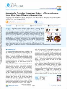 Magnetically Controlled Intraocular Delivery of Dexamethasone Using Silica-Coated Magnetic Nanoparticles