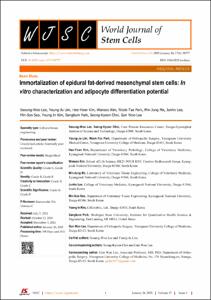 Immortalization of epidural fat-derived mesenchymal stem cells: In vitro characterization and adipocyte differentiation potential